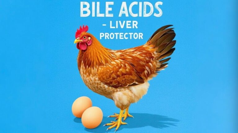 bile acids laying hens