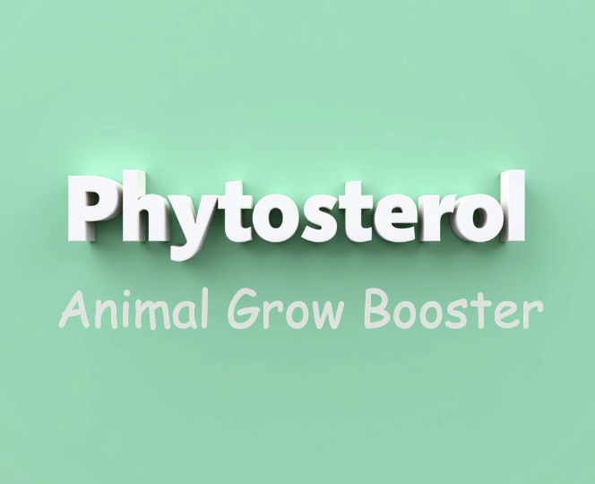 phytosterol shrimp farm